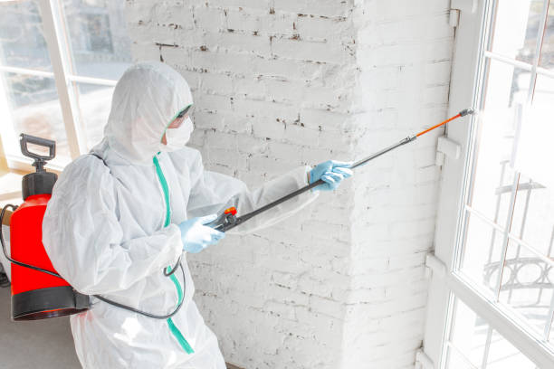 Mold Documentation for Insurance Claims in Saranap, CA